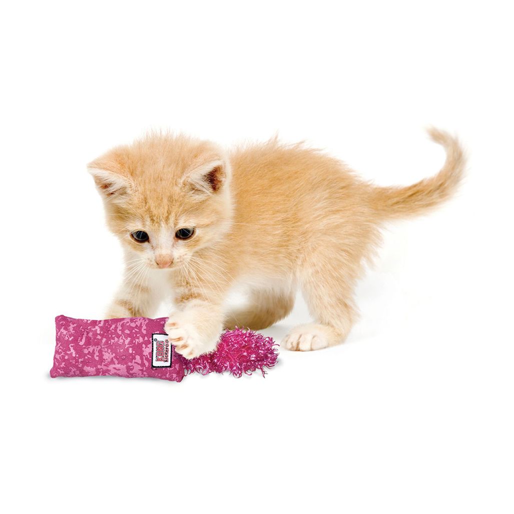 Kong Cat Kickeroo Kitten Kong Cat Kickeroo Kitten
