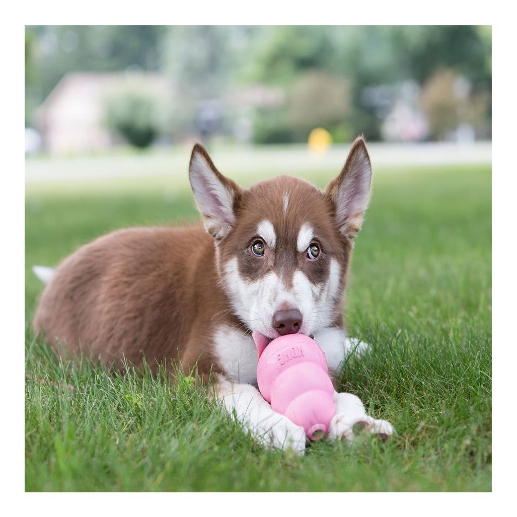 Kong Puppy Kong Puppy