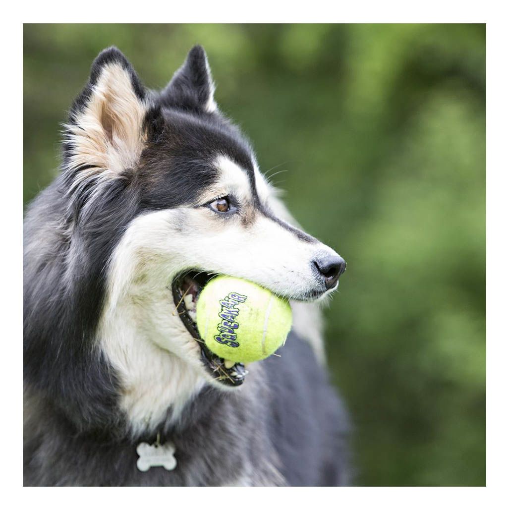 Kong Squeak Ball Air XL 1 PK Kong Squeak Ball Air XL 1 PK