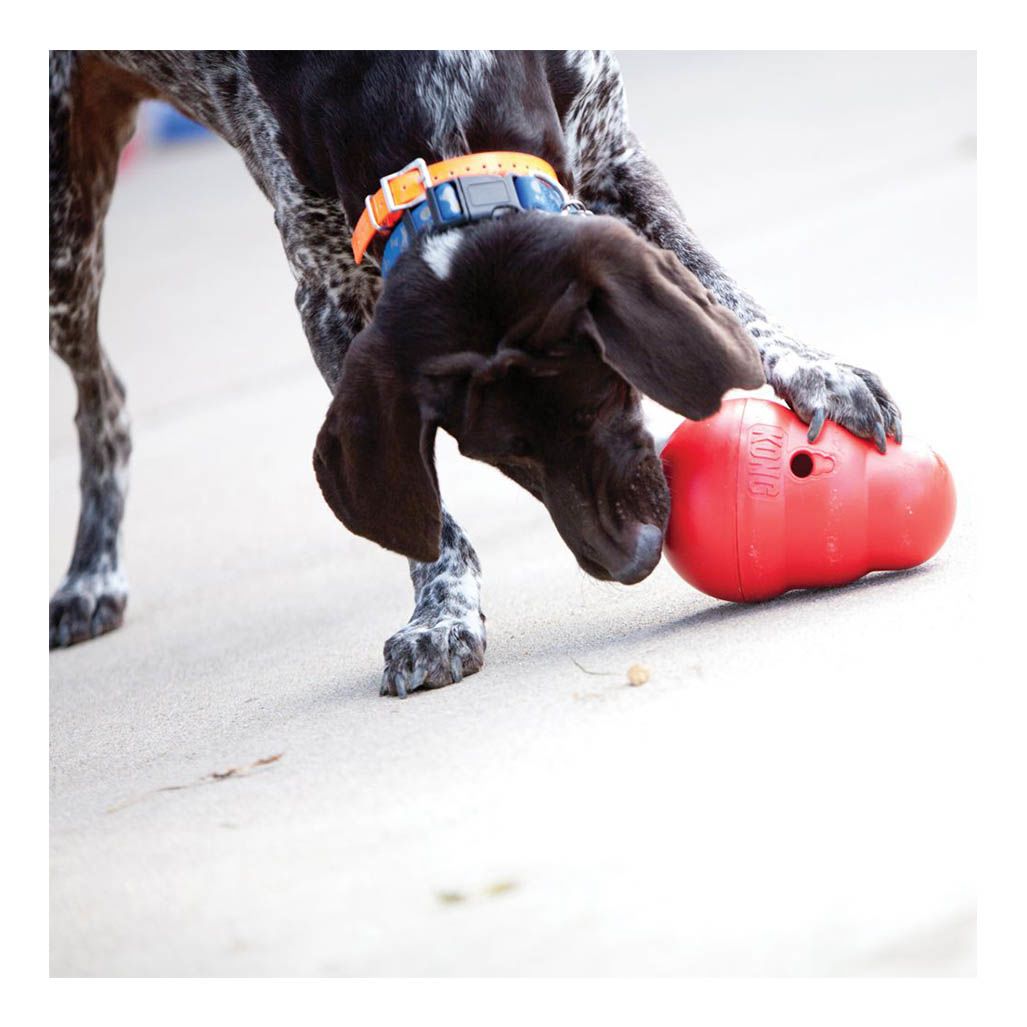 Kong Wobbler Kong Wobbler