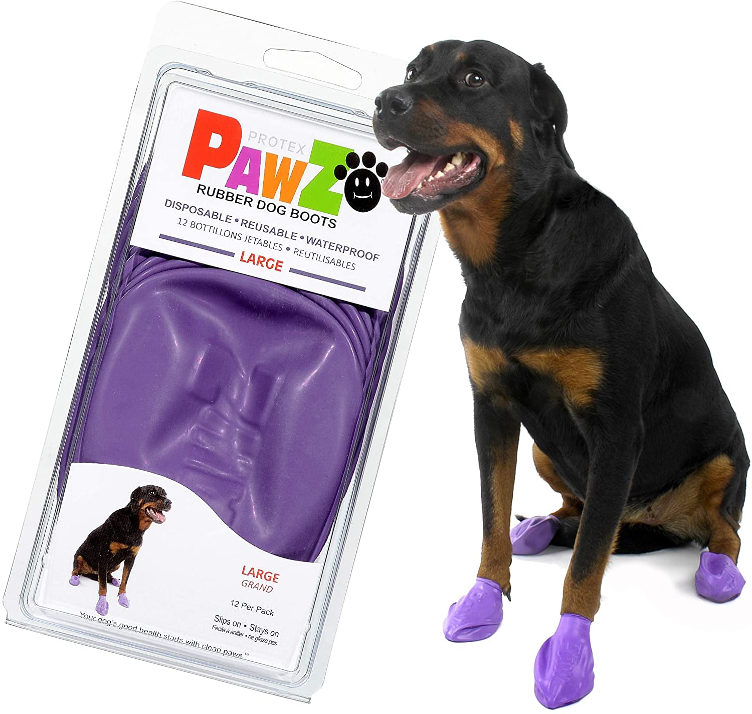 PawZ Botas Morado L PawZ Botas Morado L