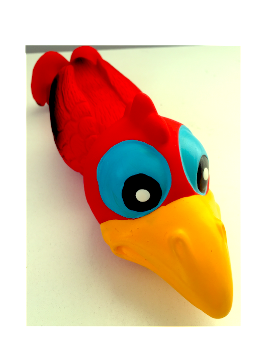 Todopet Pajaro Loco Todopet Pajaro Loco