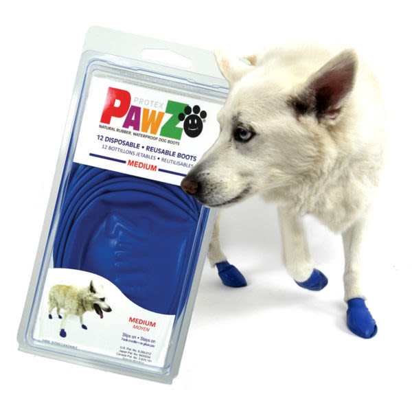 PawZ Botas Azul M PawZ Botas Azul M