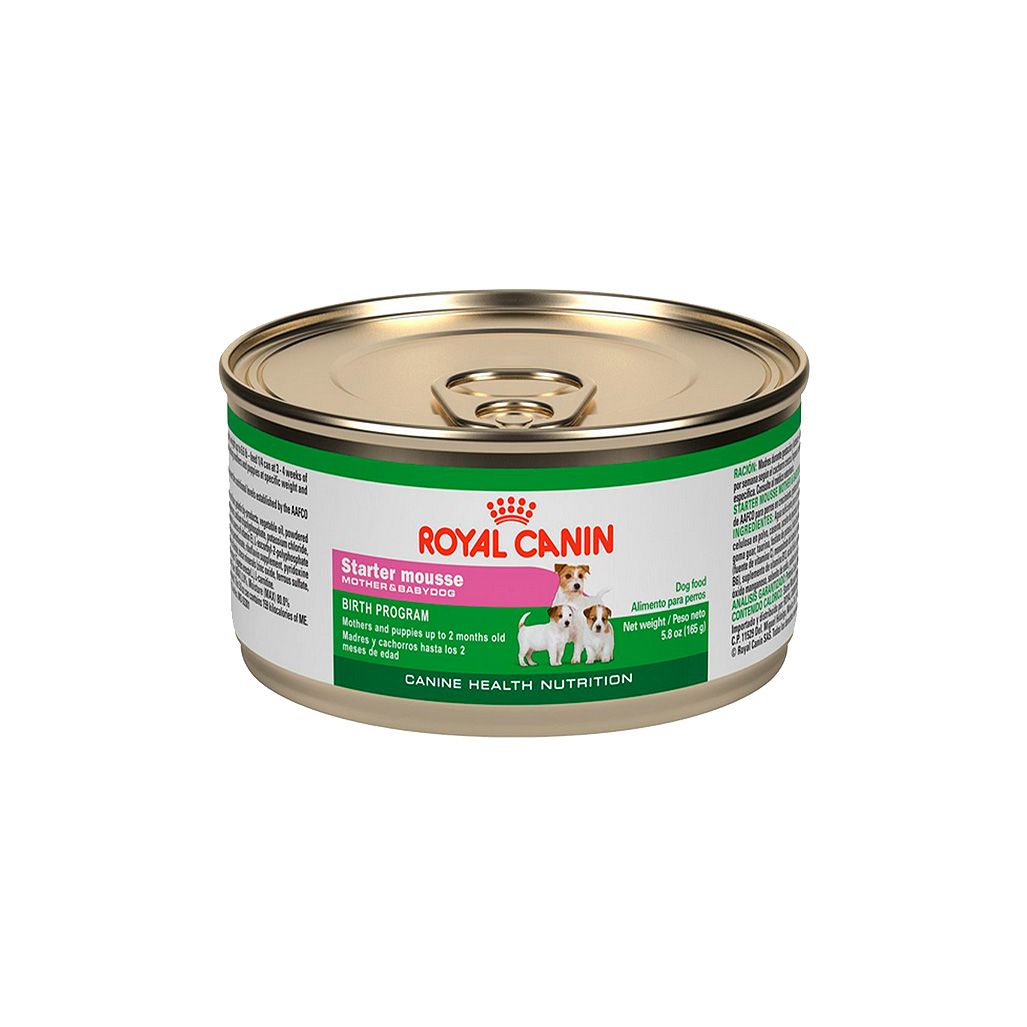 Royal Canin Lata Starter Mouse 165 Gr Royal Canin Lata Starter Mouse 165 Gr