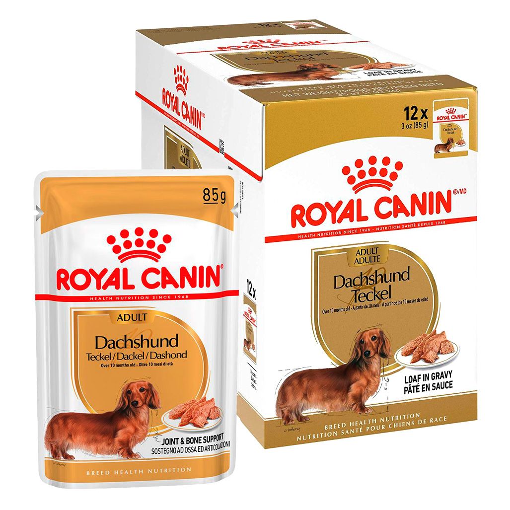Royal Canin Pouch Dachshund 85 Gr Royal Canin Pouch Dachshund 85 Gr