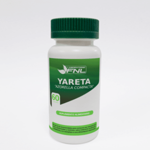 YARETA