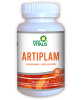 ARTIPLAM1