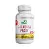 CALABAZA PROST1
