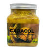 EXFOLIANTE POTE WOKALI CARACOL1