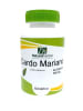 Cardo mariano 1