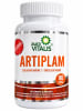 ARTIPLAM1