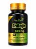 SHILAJIT GM1