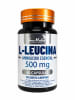 LEUCINA1