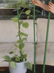 TUTOR PLASTICO ERGO VERDE 120 CM 0