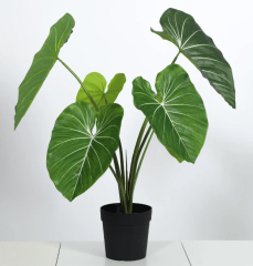 PLANTA ARTIFICIAL OREJA DE ELEFANTE JUST HOME COLLECTION 0