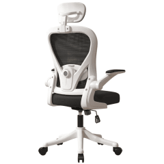 Silla Amia Ergonómica De Oficina Soporte Lumbar Ajustable Blanco 0