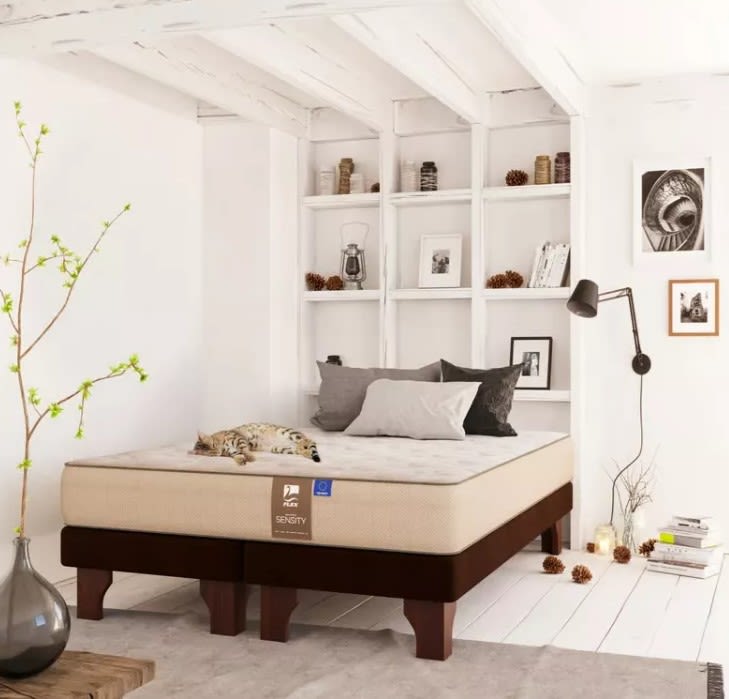 CAMA EUROPEA DUAL SENSITY FLEX 2 PLAZAS BASE DIVIDIDA BOX2