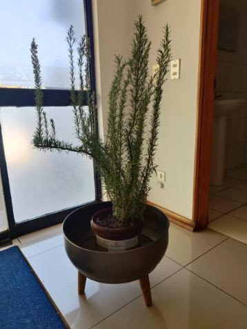 Soporte Para Macetas Jh Bronz 18cm X 46cm3