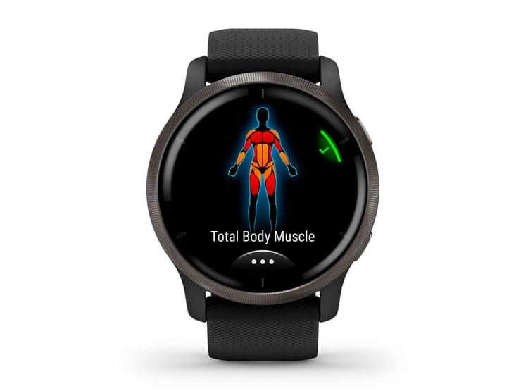 Smartwatch Garmin Venu 2 Black Slate2