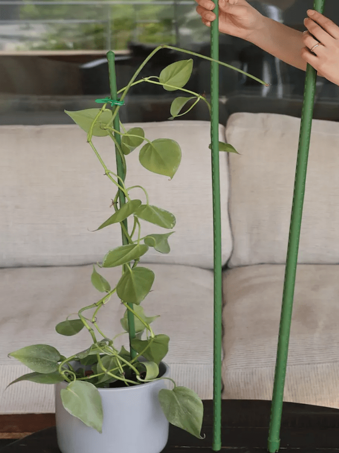 TUTOR PLASTICO ERGO VERDE 120 CM1