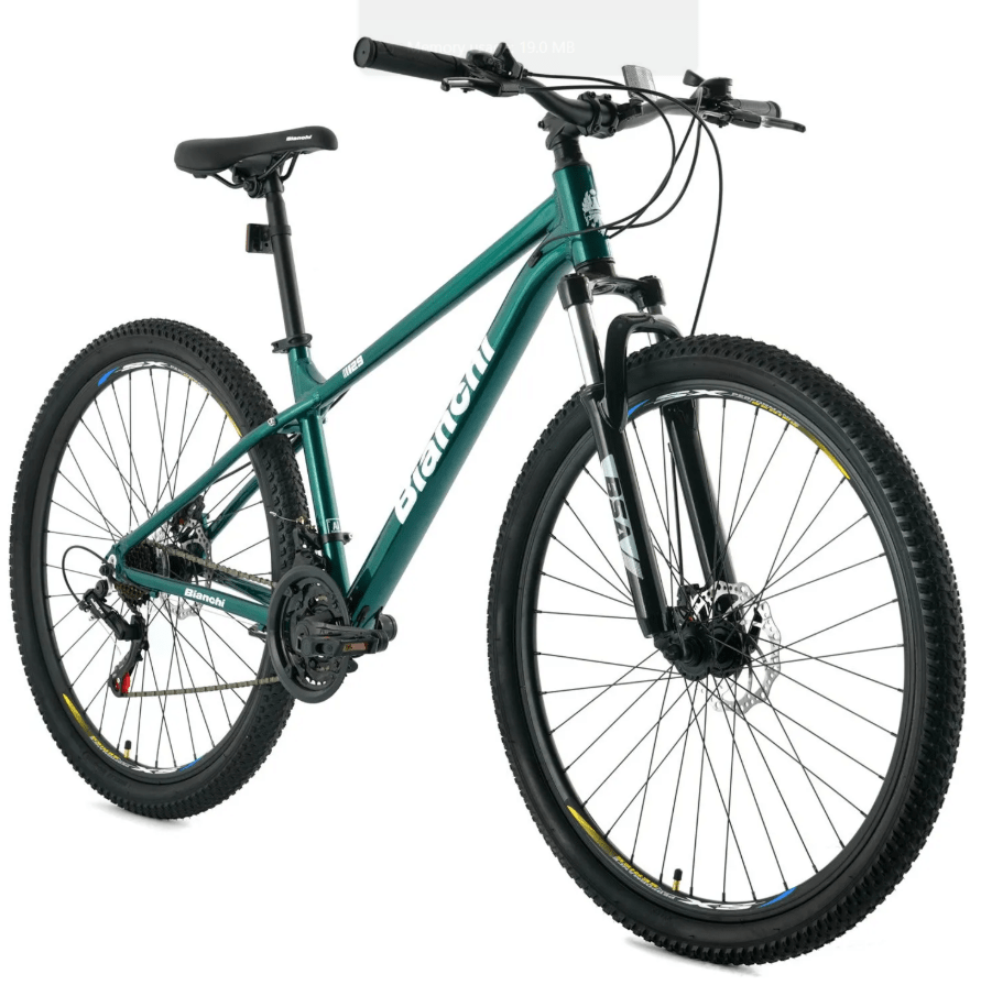 BICICLETA BIANCHI REKORD SX ARO 29 VERDE S MATTE1