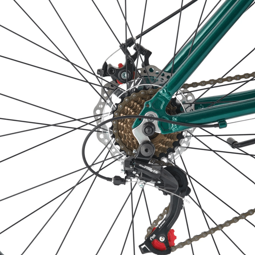 BICICLETA BIANCHI REKORD SX ARO 29 VERDE S MATTE4