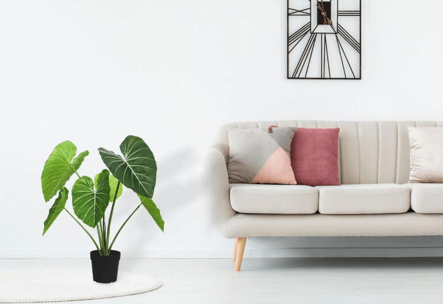 PLANTA ARTIFICIAL OREJA DE ELEFANTE JUST HOME COLLECTION2