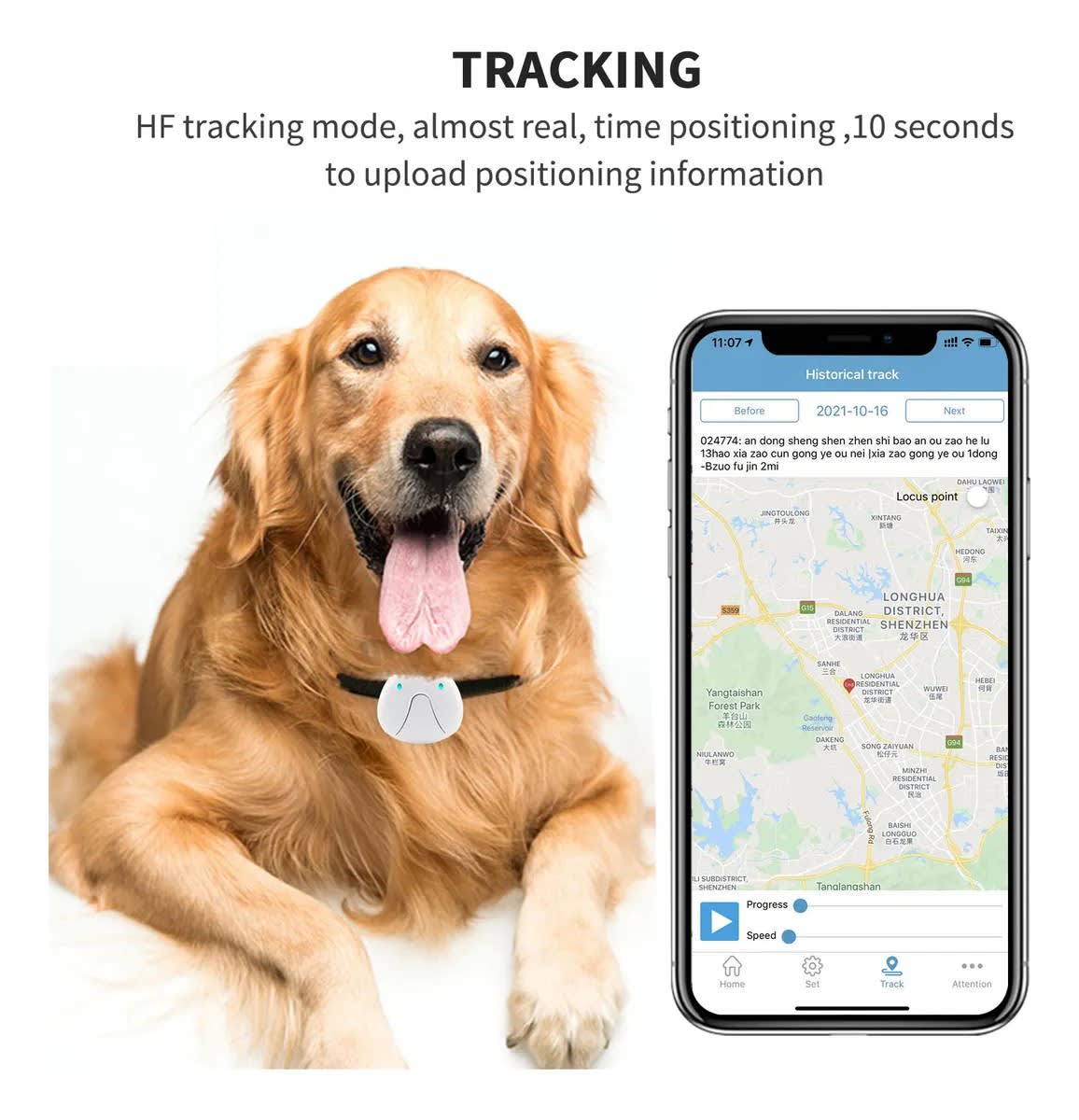 Rastreador eléctrico inteligente con Mini GPS para perros2