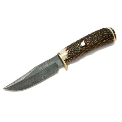 110mm Carbon Damascus blade, stag handle, brass gu 110mm Carbon Damascus blade, stag handle, brass gu