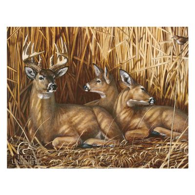Tin Sign Ducks Unlimited Tin Sign Ducks Unlimited