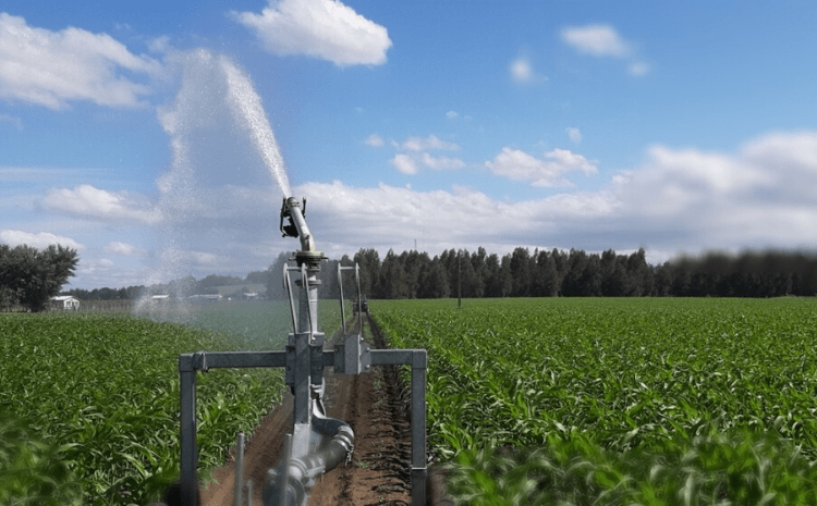 La necesidad de un pozo de agua para regar predios