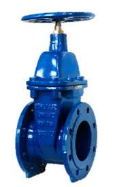 VALVULA DE COMPUERTA ECOLINE GTR 16P DN50 2