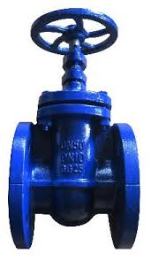 VALVULA DE COMPUERTA PN10 DN80 3