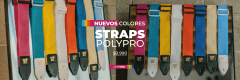 https://www.andesmusica.cl/search?search_text=POLYPRO&limit=12&order=relevance&way=DESC