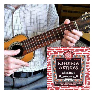 Juego de Cuerdas para Charango 11220 Medina Artigas