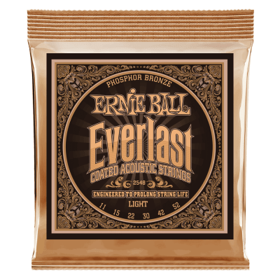 Cuerda Guitarra Acústica Light 2548 0.11 Everlast Ernie Ball