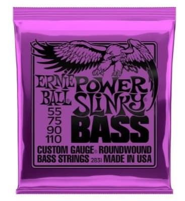 Set de 4 Cuerdas para Bajo 55-110 2831 Ernie Ball