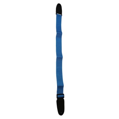 Correa para Instrumento PolyPro Blue ALL-PP-BL Allegro Correa para Instrumento PolyPro Blue ALL-PP-BL Allegro
