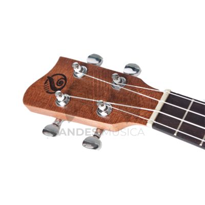 Ukelele Concierto CLASSIC Mate Spruce C-50 Ukelele Concierto CLASSIC Mate Spruce C-50