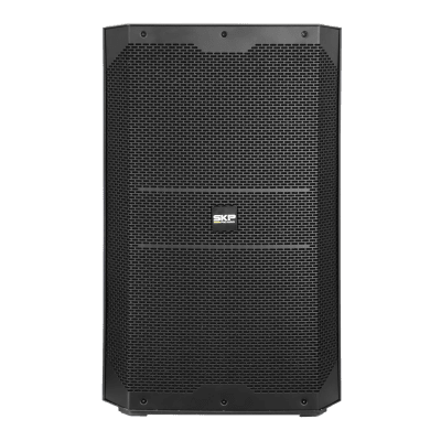 CAJA ACTIVA 15 PULGADAS 800W DX15 SKP