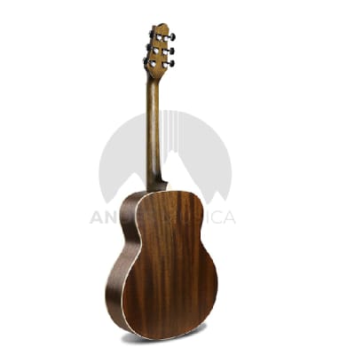Guitarra Acústica Travel Spruce 361C Guitarra Acústica Travel Spruce 361C