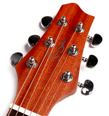 Guitarra Electroacústica Mahogany 402