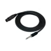 Cable Microfono XLR - Plug 6 Mts. Kirlin2