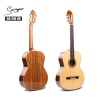 Guitarra Clasica Electroacustica CG-210-392