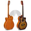 Guitarra Acústica Wild Sunburst1