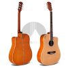 Guitarra Acústica Folk Natural + Funda1