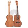Ukelele Concierto CLASSIC Mate Sapele C-30M4
