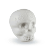 SHAKER SUGAR SKULL GLOW IN THE DARK LP006-GLO LP1