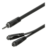 Cable Split MiniPlug 3.5MM Stereo a 2 MiniPlug Hembra 20 cms. RAYC400L02 Roxtone1
