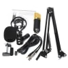 Kit Micrófono Condensador BM700 + Brazo + Filtro AntiPop3